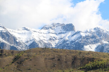 Snowy Mountain, Jasper National Park, Alberta