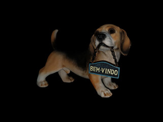 beagle puppy on white background