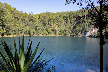 Laguna 4