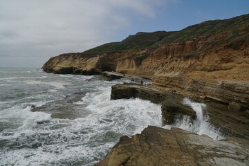 Point Loma Tidepool 