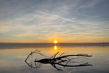 Winter Dezember Bodensee Konstanz