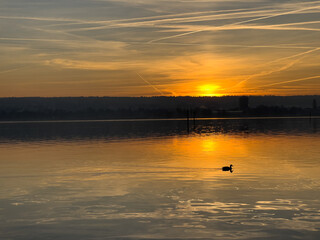 Am Bodensee in der Stadt Konstanz