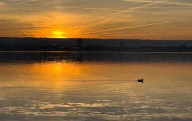 Winter Dezember Bodensee Konstanz