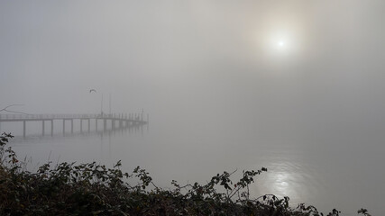 Winter Dezember Bodensee Konstanz