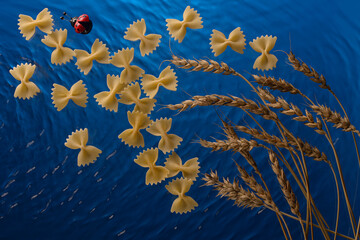 wheat, pasta and ladybug on blue background 