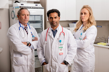 A Professional Medical Team of Doctors. One Female Two Males with Generic ID Badges, Lab Coats and...