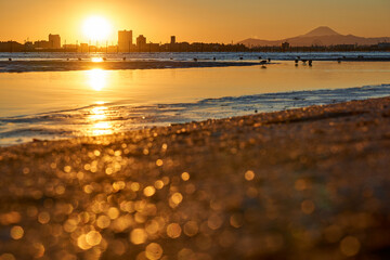 冬の三番瀬の夕日と富士山　ふなばし三番瀬海浜公園