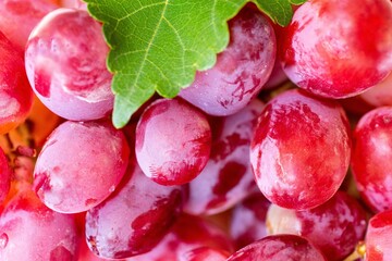 red grape background with green grape leaves close up abstract beautiful