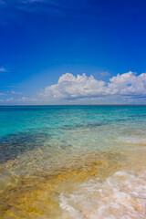 Caribbean beach with a lot of palms and white sand, Dominican Republic
