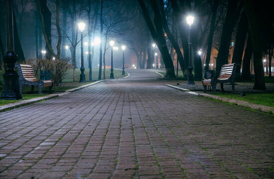 Fototapeta The alley of a night early winter park in a light fog. Footpath in a fabulous late autumn city park at night with benches and latterns. Beautiful cold evening in Mariinsky Park. Kyiv, Ukraine.