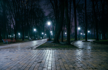 The main alley of a night early winter park in a light fog. Foot