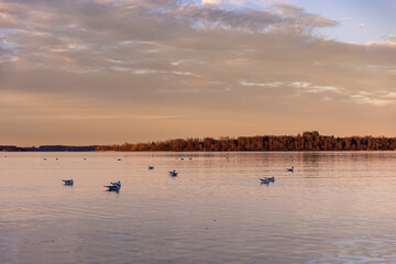 Naklejka premium Chiemsee - Der Chiemsee bei Bernau im Abendlicht