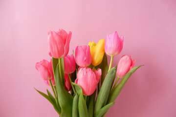 Colorful tulip flowers on pink background. Mother's day, Valentine, women's day and spring time concept floral background. 