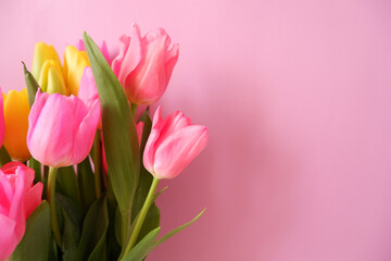 Colorful tulip flowers on pink background. Mother's day, Valentine, women's day and spring time concept floral background. 