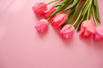 pink tulip flower composition on pink background. Valentine, Mother's day, Women's day and spring...