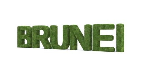 3d rendering of Brunei word isolated on white background