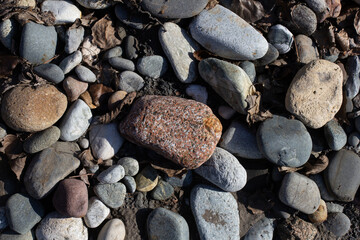 Autumn, the shallow stone-sandy bottom of a mountain river in the rays of the morning sun, close-up.