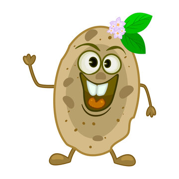 Smiling funny potato isolated on white background. Cute happy vegetable. Smile potato face mascot. Cartoon potatoes kawaii personage. Potato tuber laughing and waving hands. Food and vegetable. Vector