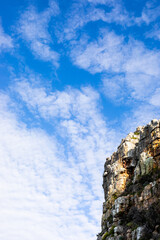Rugged mountain landscape with fynbos flora in Cape Town