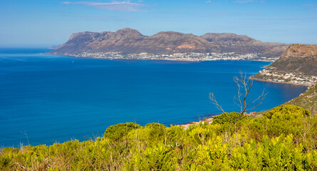 Obraz premium Coastal mountain landscape with fynbos flora in Cape Town