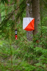 Outdoor orienteering check point activity
