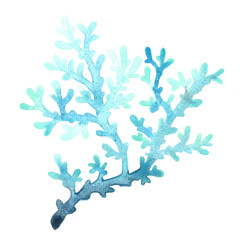 Blue coral watercolor illustration for decoration on marine life and coastal living.