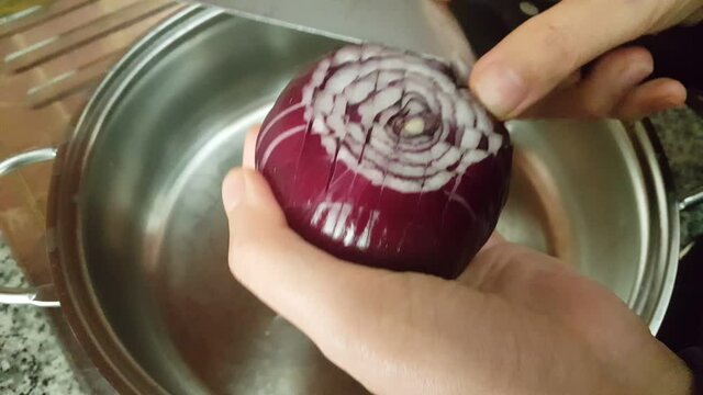 Homemade dish with red onions video images
