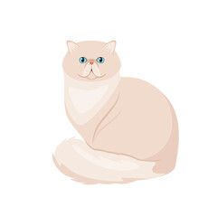 Persian cat on a white background. Cartoon design.
