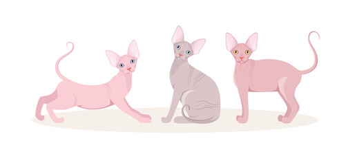 Fototapeta na wymiar Set of sphinx cats on a white background. Cartoon design. 
