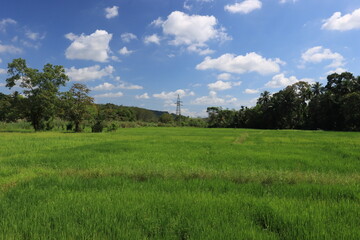 blue sky background with green nature