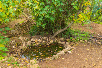 Ein Mata spring, with trees, lower Judaean Mountains