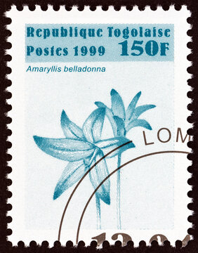 Amaryllis belladonna flower (Togo 1999)