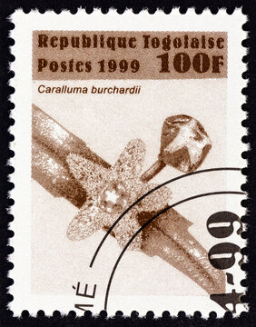 Caralluma burchardii flower (Togo 1999)