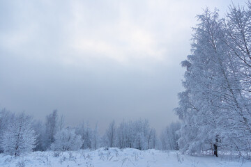 dim cloudy winter day landscape
