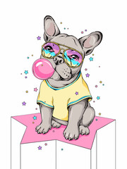 Cute french bulldog with bubble gum. Dog on a background of stars. Image for printing on any surface