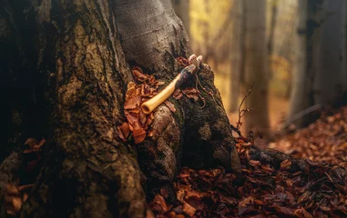 Fotobehang shaman flute in forest on moss tree. © jozefklopacka