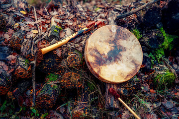 shaman drum in landscape on moss wood.