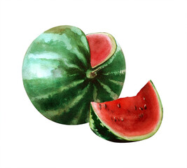 Watercolor red sweet juicy watermelon with green textured crust and black seeds