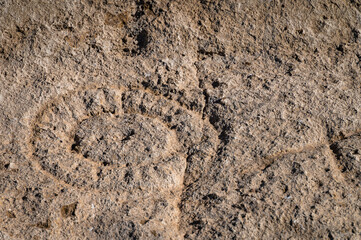 Native American Petroglyph 