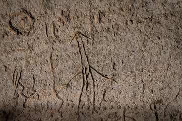 Native American Petroglyph 