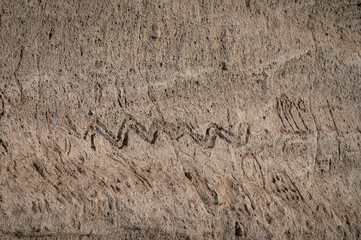 Native American Petroglyph 