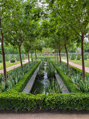 Linear Gardens, Trees and Water Feature