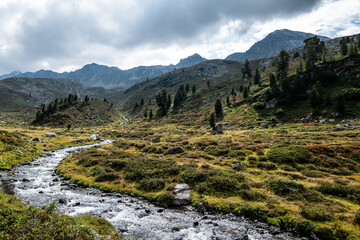 Alpenlandschaft mit Fluss