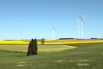 Landscape with wind turbines, rape fields and farmland