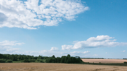 Blue sky with white clouds over agricultural land