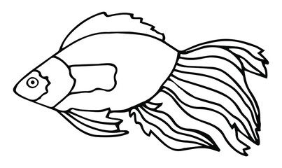 Hand drawn cartoon fish. Vector illustration isolated on white background.