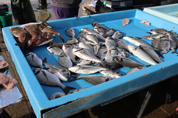 Vente de poisson frais le long du vieux port, ville de Marseille, département des Bouches du...