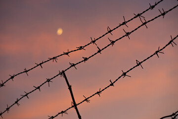 Fototapeta na wymiar barbed wire against sunset sky