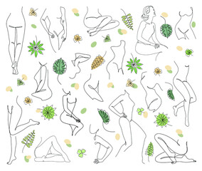 Collection. Silhouettes of the figure of a girl and a leaf of a plant in a modern one-line style. Solid line, aesthetic outline for home decor, posters, stickers, logo. Vector illustration set.