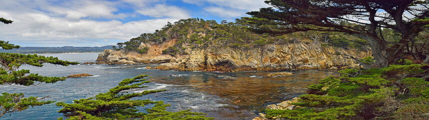 Fototapeta na wymiar Point Lobos Sate Park, California, USA